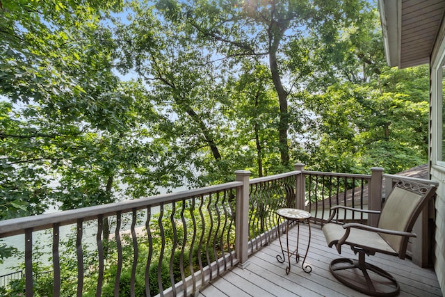 11478 Mackinac Path N, Jerome, MI 49249 - photo 44