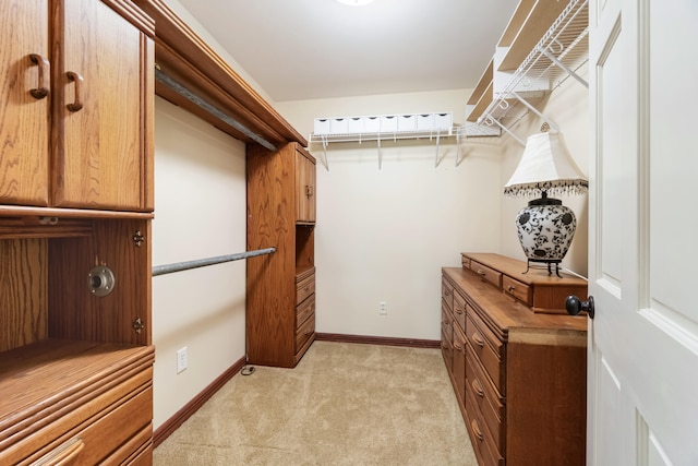 11478 Mackinac Path N, Jerome, MI 49249 - photo 50