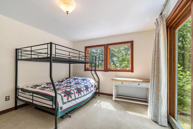 11478 Mackinac Path N, Jerome, MI 49249 - photo 55