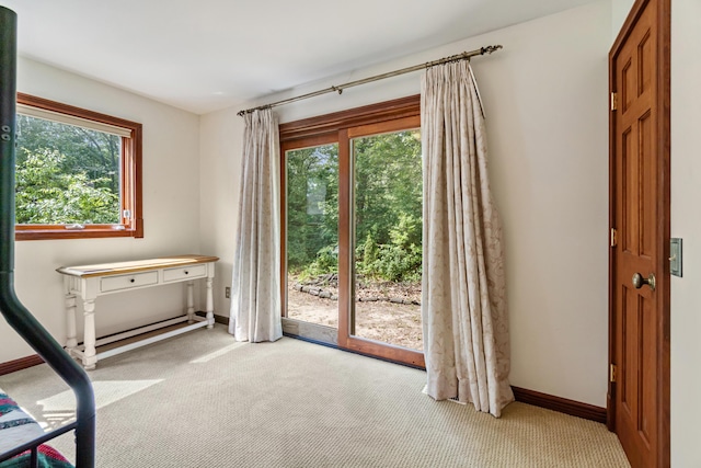 11478 Mackinac Path N, Jerome, MI 49249 - photo 56