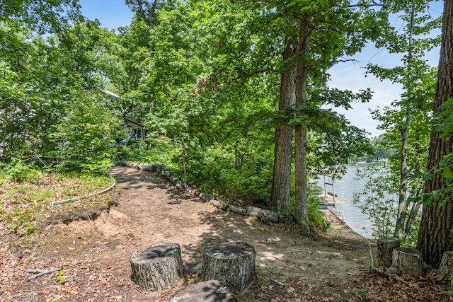 11478 Mackinac Path N, Jerome, MI 49249 - photo 62