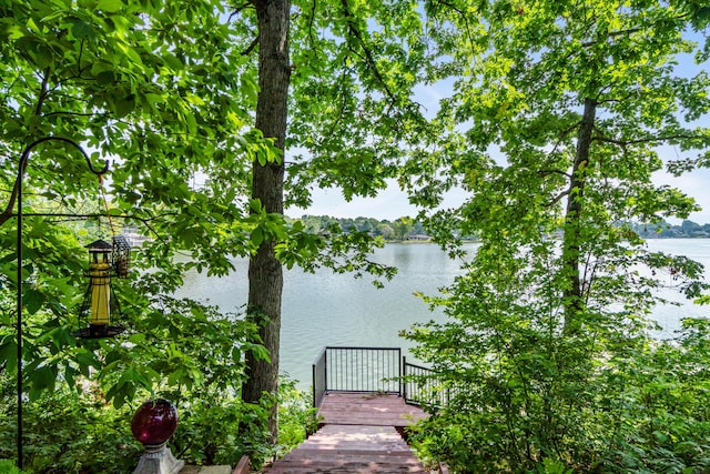 11478 Mackinac Path N, Jerome, MI 49249 - photo 63