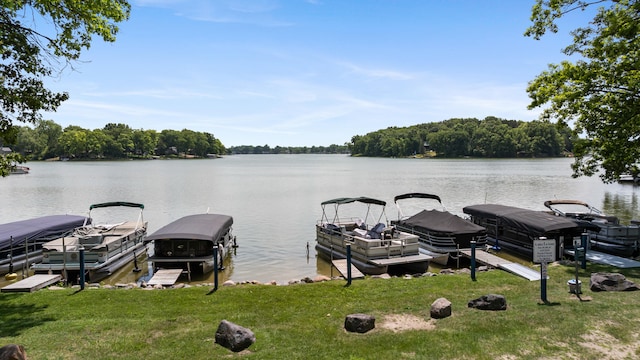 11478 Mackinac Path N, Jerome, MI 49249 - photo 66