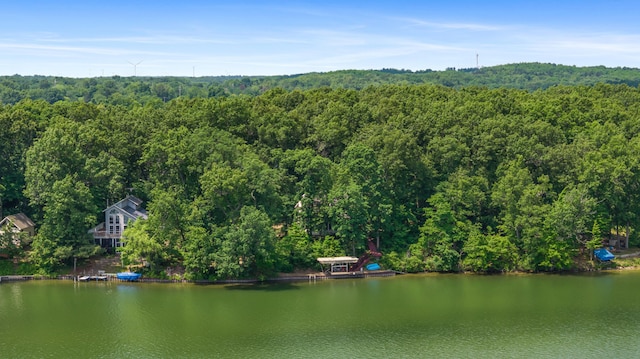 11478 Mackinac Path N, Jerome, MI 49249 - photo 68