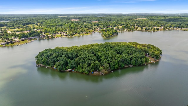 11478 Mackinac Path N, Jerome, MI 49249 - photo 3