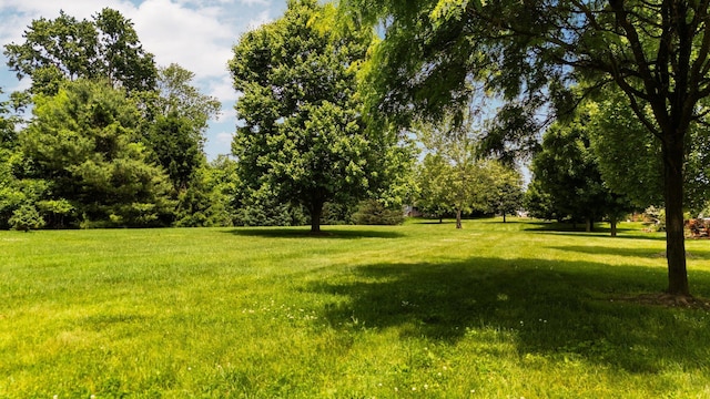 2834 Pittsfield Blvd, Ann Arbor, MI 48104 - view of green lawn