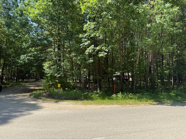 8995 Crestwood Ct Unit 518, Stanwood, MI 49346