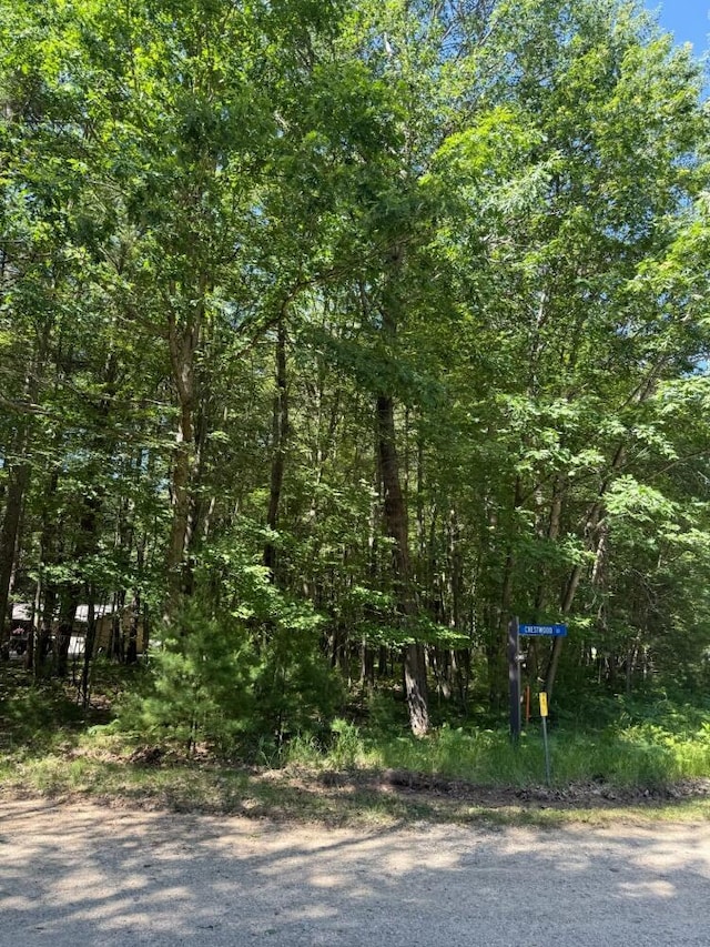 8995 Crestwood Ct Unit 518, Stanwood, MI 49346