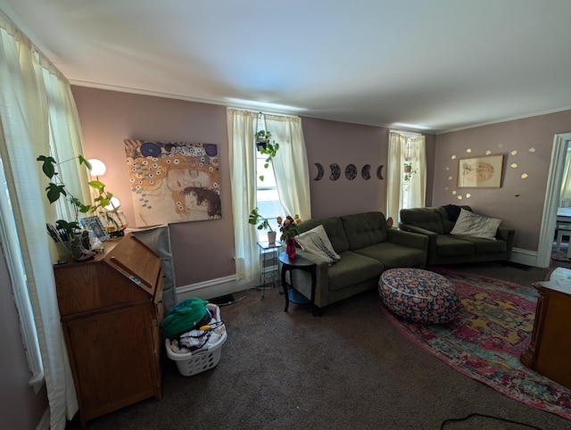 1236 Fulton Ave, Grand Haven, MI 49417 - carpeted living area featuring baseboards