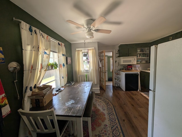1236 Fulton Ave, Grand Haven, MI 49417 - dining space featuring dark wood-style flooring and a ceiling fan