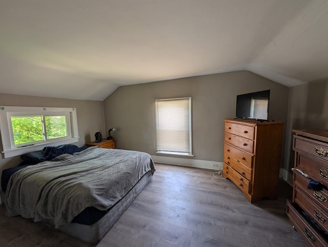 1236 Fulton Ave, Grand Haven, MI 49417 - bedroom featuring vaulted ceiling and wood finished floors
