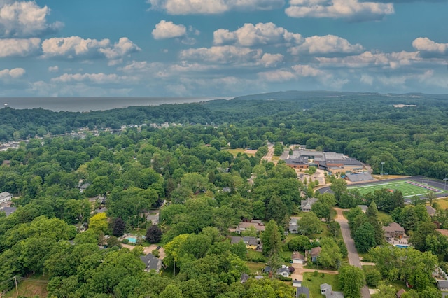 VL Lake St, Saugatuck, MI 49453 - photo 6