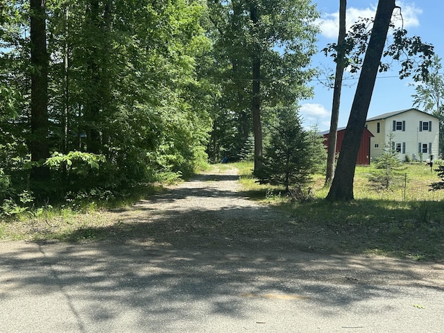 105 S Emerson Lake Rd, Branch, MI 49402 - view of road