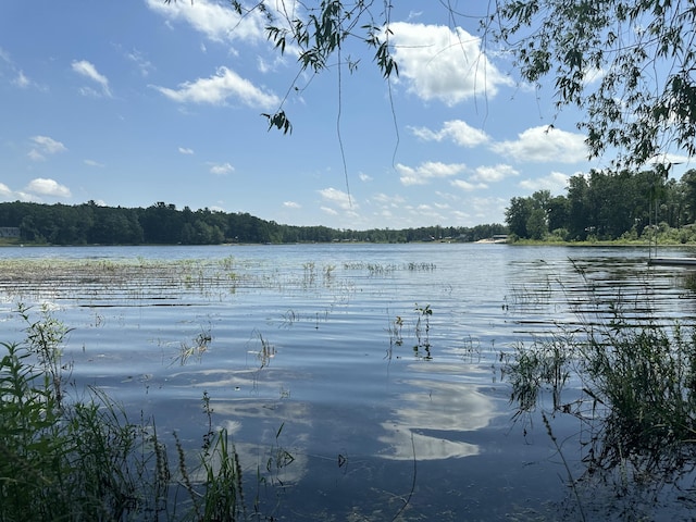 105 S Emerson Lake Rd, Branch, MI 49402 - water view with a heavily wooded area