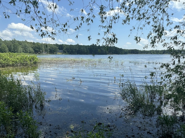 105 S Emerson Lake Rd, Branch, MI 49402 - water view with a heavily wooded area