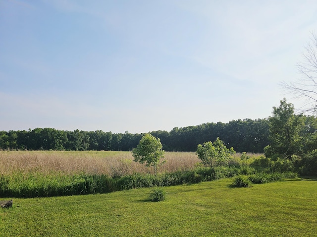 9159-B Moreland Rd, Jerome, MI 49249 - photo 15