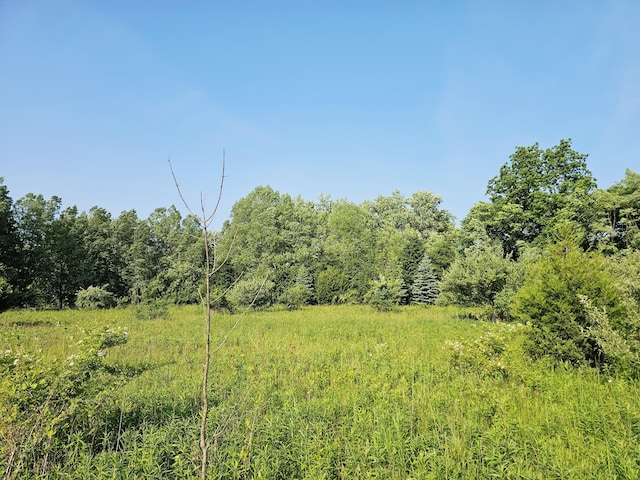 9159-B Moreland Rd, Jerome, MI 49249 - photo 16