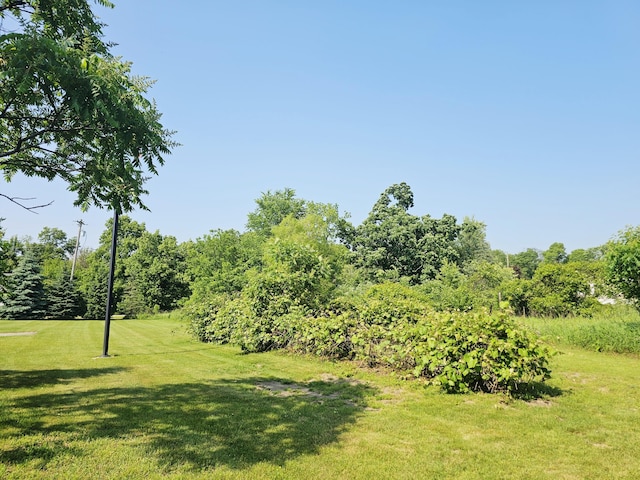 9159-B Moreland Rd, Jerome, MI 49249 - photo 18