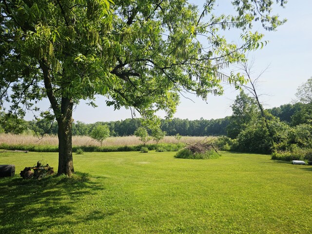 9159-B Moreland Rd, Jerome, MI 49249 - photo 19