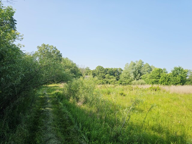 9159-B Moreland Rd, Jerome, MI 49249 - photo 21