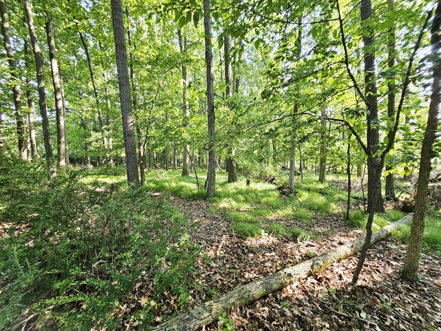 9159-B Moreland Rd, Jerome, MI 49249 - photo 23