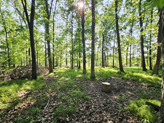9159-B Moreland Rd, Jerome, MI 49249 - photo 25