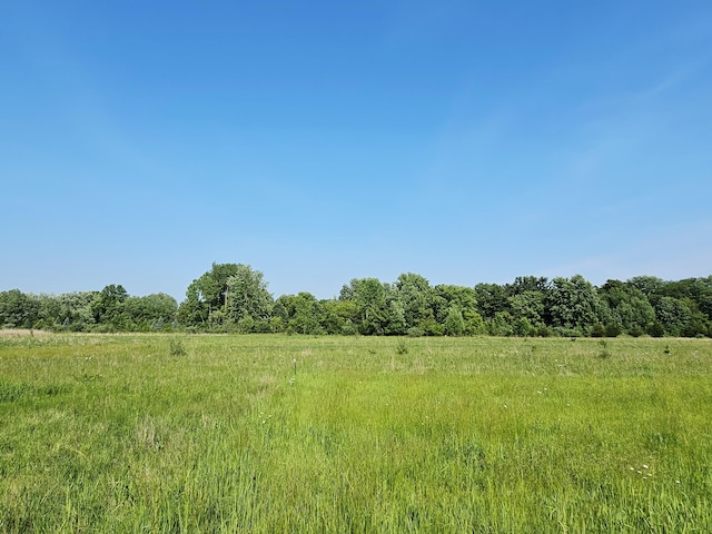 9159-B Moreland Rd, Jerome, MI 49249 - photo 27
