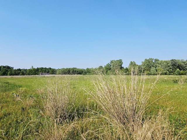 9159-B Moreland Rd, Jerome, MI 49249 - photo 28