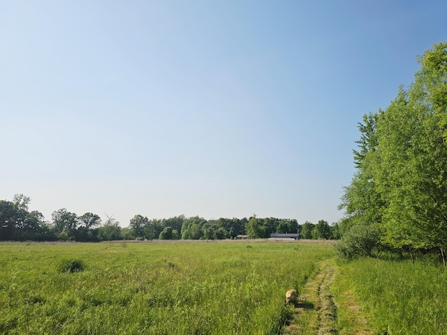 9159-B Moreland Rd, Jerome, MI 49249 - photo 29