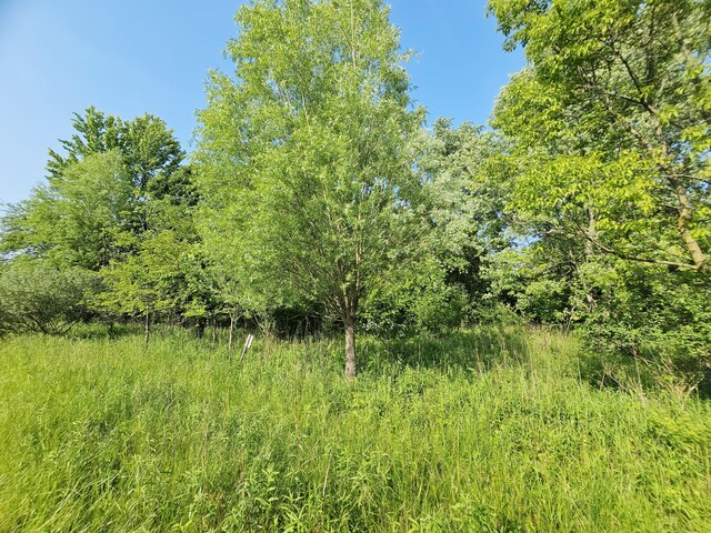 9159-B Moreland Rd, Jerome, MI 49249 - photo 30