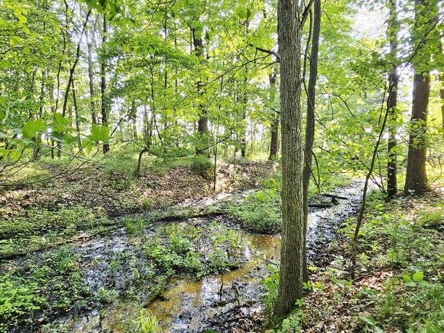 9159-B Moreland Rd, Jerome, MI 49249 - photo 31