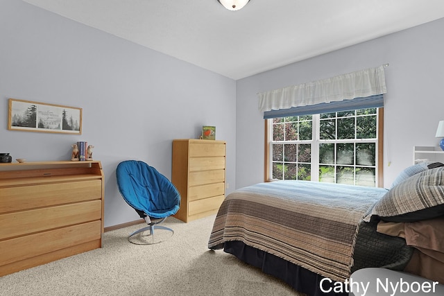 4232 Limousin Ct SW, Grandville, MI 49418 - bedroom featuring carpet flooring and baseboards
