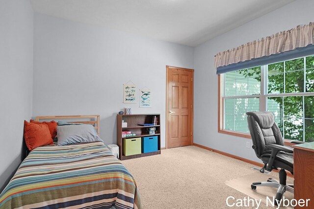 4232 Limousin Ct SW, Grandville, MI 49418 - bedroom featuring carpet floors and a desk