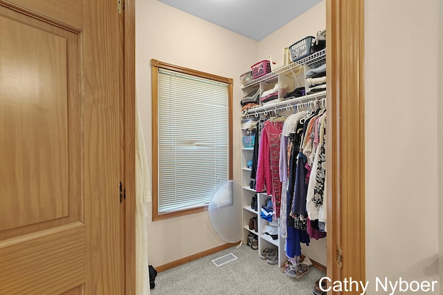 4232 Limousin Ct SW, Grandville, MI 49418 - walk in closet featuring carpet flooring