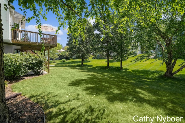 4232 Limousin Ct SW, Grandville, MI 49418 - view of green lawn featuring a deck