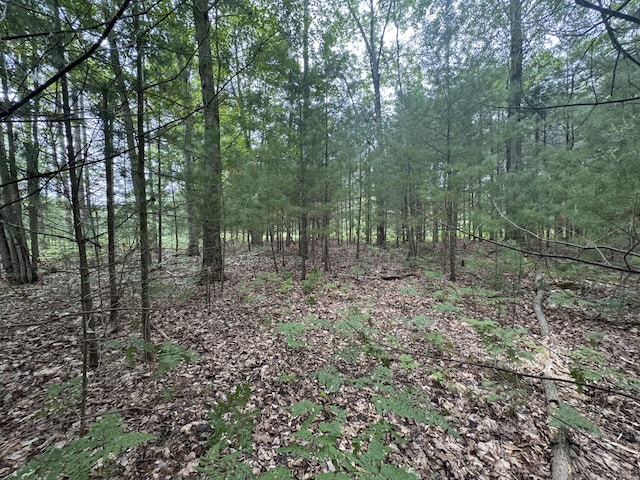 6336 Cedar Trce, Stanwood, MI 49346
