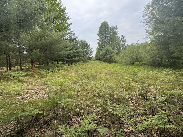 6336 Cedar Trce, Stanwood, MI 49346