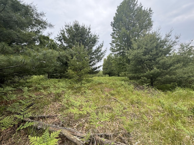 6336 Cedar Trce, Stanwood, MI 49346