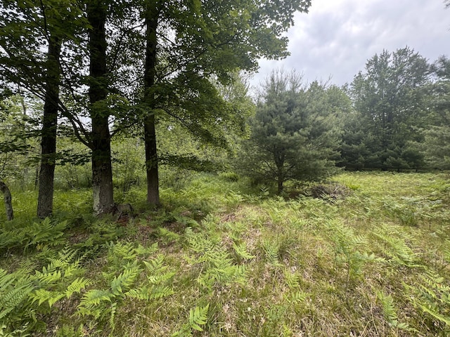 6336 Cedar Trce, Stanwood, MI 49346