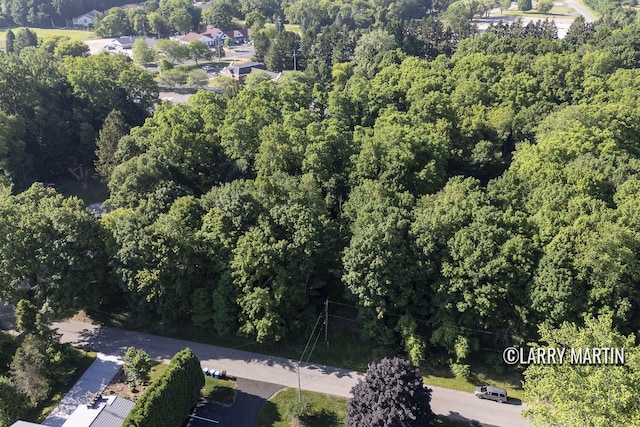 387 Fremont St, Douglas, MI 49406 - photo 1