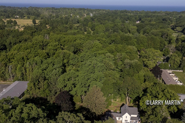 387 Fremont St, Douglas, MI 49406 - photo 6