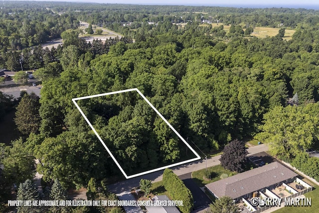 387 Fremont St, Douglas, MI 49406 - photo 2