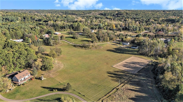 6249-1 Cannonsburg Rd NE, Belmont, MI 49306