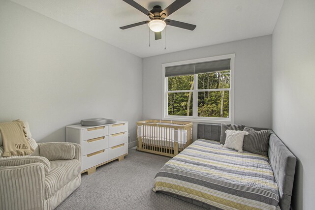 10924 Mystic Heights Trl, Mattawan, MI 49071 - photo 27