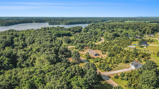57860 James Dr, Three Rivers, MI 49093 - view of property location featuring a forest and a nearby body of water