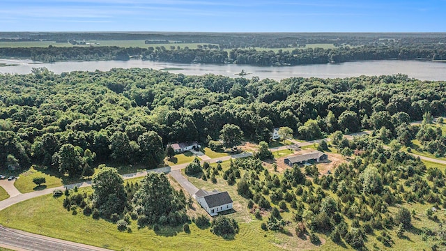57860 James Dr, Three Rivers, MI 49093 - aerial view of a large body of water