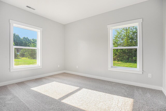 57860 James Dr, Three Rivers, MI 49093 - unfurnished room with plenty of natural light and carpet