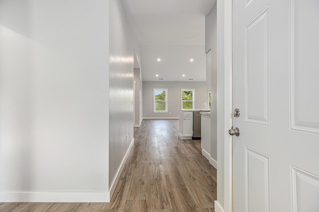 57860 James Dr, Three Rivers, MI 49093 - hall featuring wood finished floors and recessed lighting
