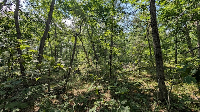 V/L Stark Rd, Free Soil, MI 49411 - photo 2