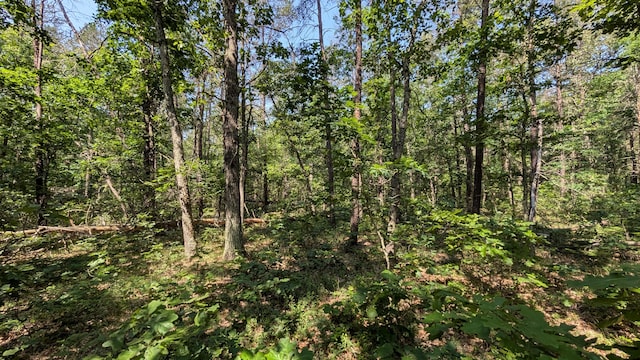 V/L Stark Rd, Free Soil, MI 49411 - photo 3
